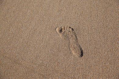 放置类像素风格钓鱼游戏《垂钓深渊》现已上线Steam平台